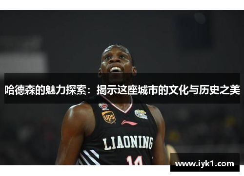 哈德森的魅力探索：揭示这座城市的文化与历史之美